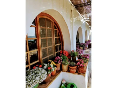 Finca in Teulada – foto 59