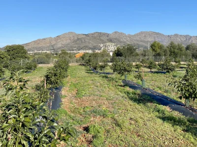 Villa in Benidoleig – foto 4