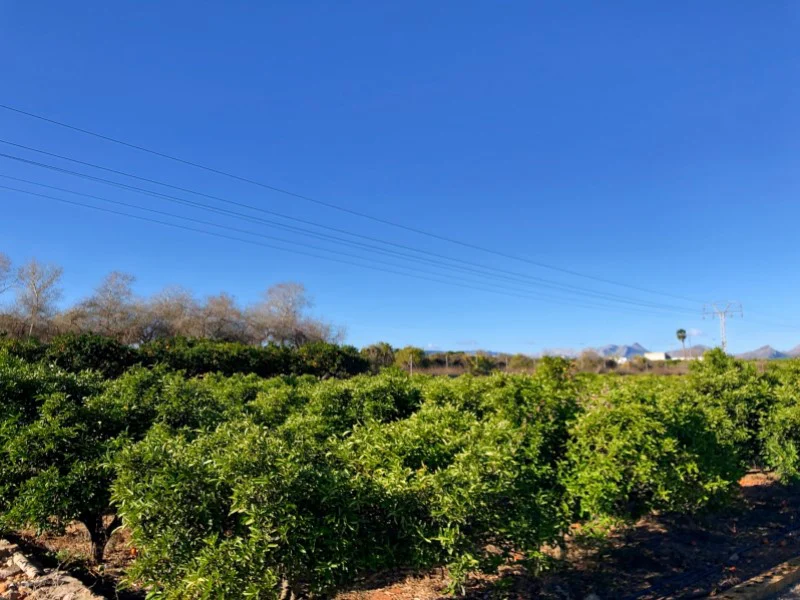 Perceel in La Xara – foto 4