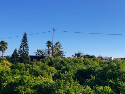 Perceel in La Xara – foto 2