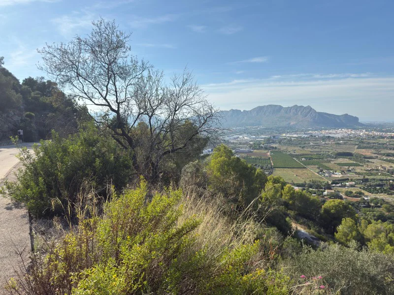 Perceel in La Xara – foto 2