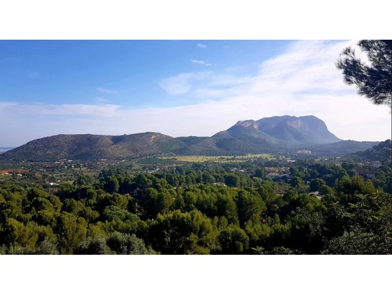 Perceel in Pedreguer – foto 4