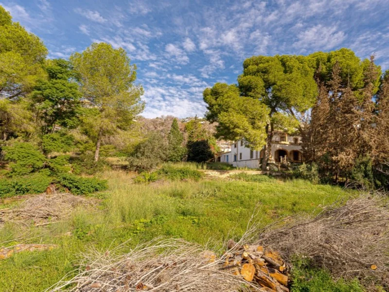 Villa in Centro ciudad – foto 35