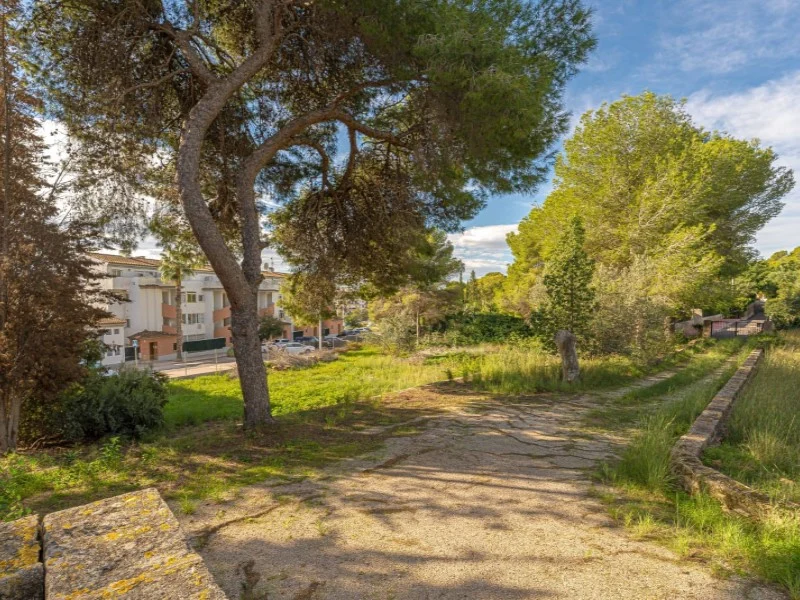 Villa in Centro ciudad – foto 45