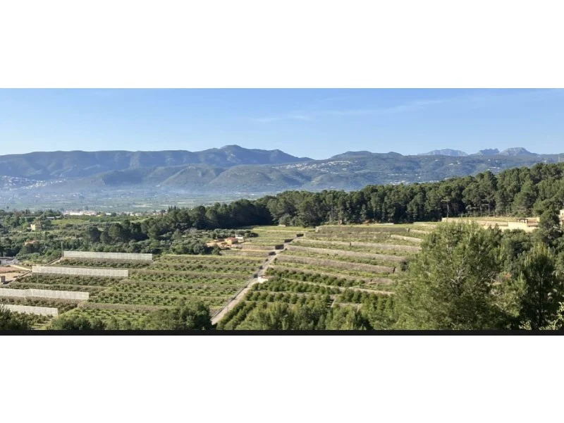 Perceel in El Verger – foto 9