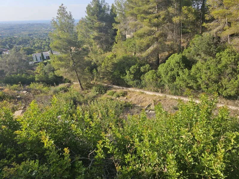 Perceel in Pedreguer – foto 3