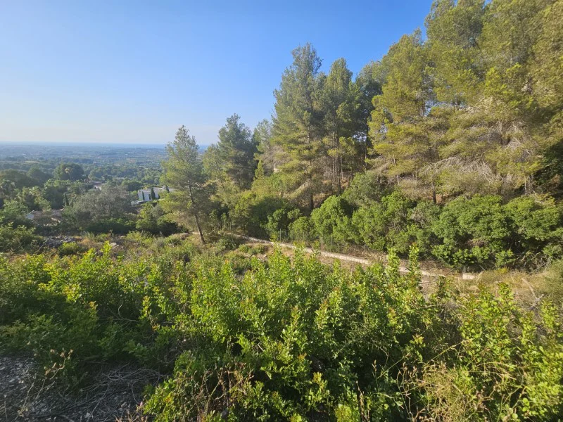 Perceel in Pedreguer – foto 5